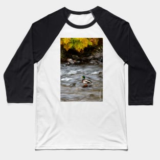 Mallard on Lake Rescue Baseball T-Shirt